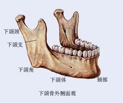 下颌角整形 .jpg
